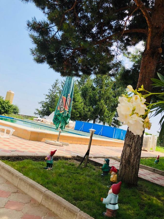 Cotesti  Pensiunea Paradis Vrancean المظهر الخارجي الصورة